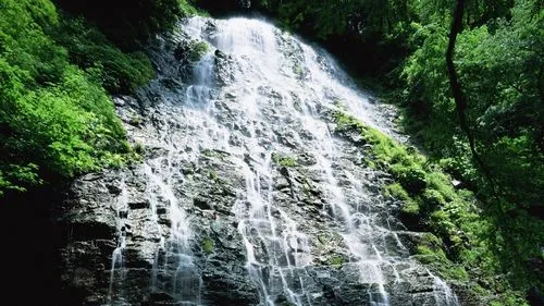 电子高标准高效